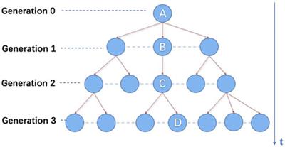 Hawkes processes for understanding heterogeneity in information propagation on Twitter